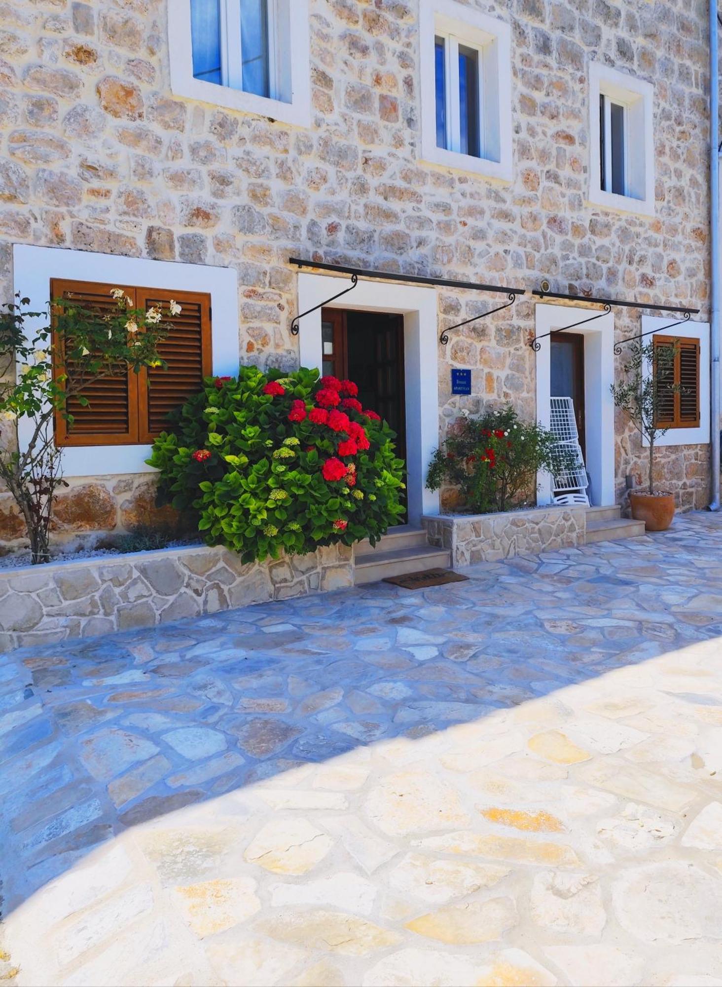 Apartment Mistral - Cosy Apartment With Sea View Molunat Exterior foto